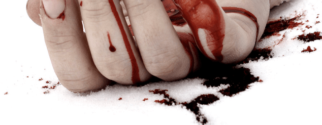 Resultado de imagen de nieve y sangre
